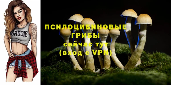 прущая мука Навашино